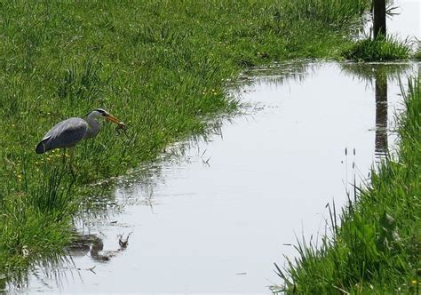 weer achel|Weer Achel